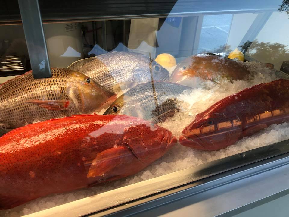 WA_Market_Fresh_Fish_display
