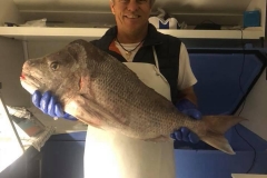 Mark_with_snapper